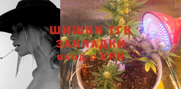 амф Аркадак