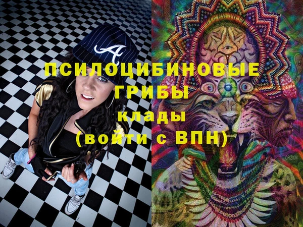 СК Нея